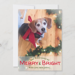 Cartes Pour Fêtes Annuelles Photo Pet & Family Joyeux et Bright Christmas
