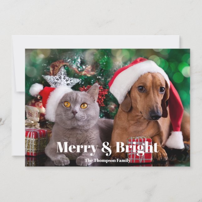 Cartes Pour Fêtes Annuelles Photo Pet Joyeux et lumineux (Devant)