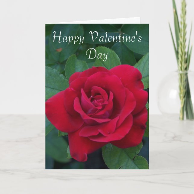 Cartes Pour Fêtes Annuelles Photo Red Rose (Devant)