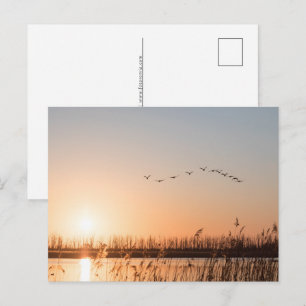 Cartes Pour Fêtes Annuelles Photo Sunrise Nature