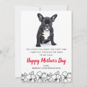 Cartes Pour Fêtes Annuelles Photo sur mesure de chien de Secourir chien animal