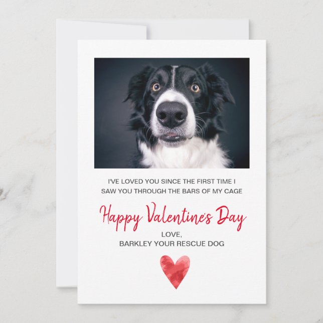 Cartes Pour Fêtes Annuelles Photo Valentine Du Chien (Devant)