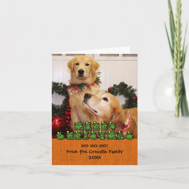 Cartes Pour Fêtes Annuelles Photocarte de Noël Golden Retrivers (Devant)