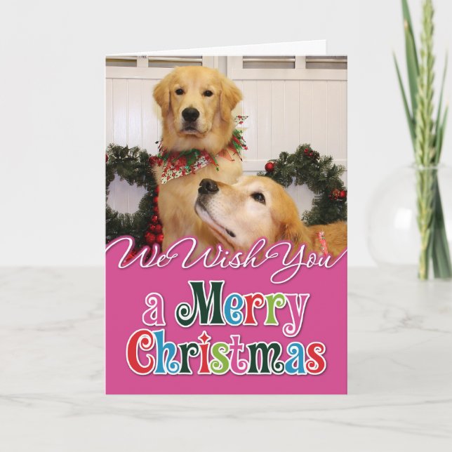 Cartes Pour Fêtes Annuelles Photocarte de Noël Golden Retrivers (Devant)