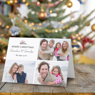 Cartes Pour Fêtes Annuelles Photos de baies de printemps de Noël Grands-parent