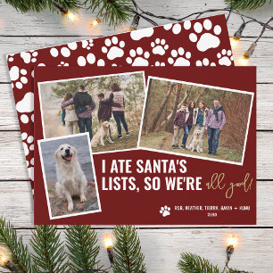 Cartes Pour Fêtes Annuelles Photos drôles de chien Photo de Noël personnalisée