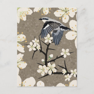 Cartes Pour Fêtes Annuelles Pie-grièche