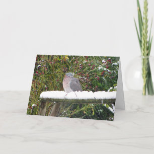 Cartes Pour Fêtes Annuelles Pigeon froid