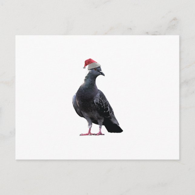 Cartes Pour Fêtes Annuelles Pigeon Santa Hat (Devant)