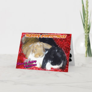 Cartes Pour Fêtes Annuelles Pika & Ollie Tinsel Xmas - Lapin Lapin Noël