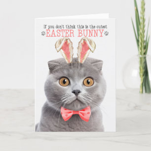Cartes Pour Fêtes Annuelles Pile écossais gris Pouls de lapin de Pâques chaton
