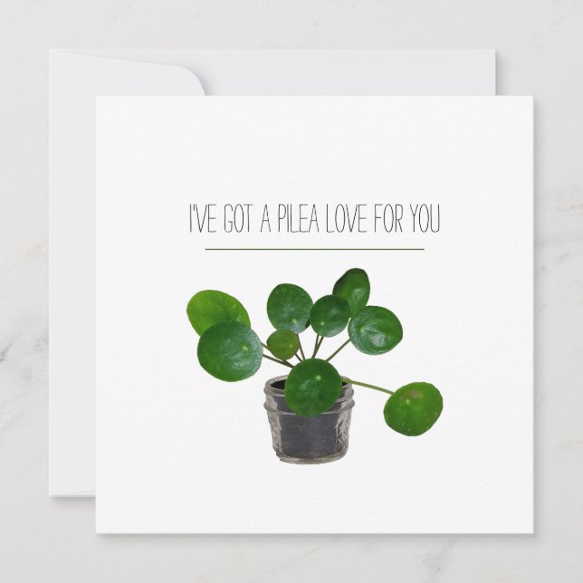 Cartes Pour Fêtes Annuelles Pilea Sweet Plante Pun Valentine (Devant)