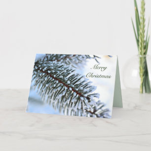 Cartes Pour Fêtes Annuelles Pin neigeux Noël