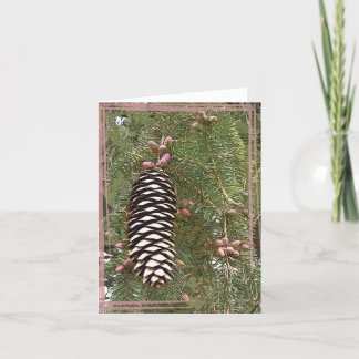 Cartes Pour Fêtes Annuelles Pine Cone & Berries