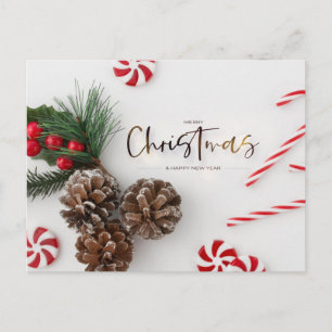 Cartes Pour Fêtes Annuelles Pine Cone & Sucre de canne salutations