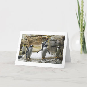 Cartes Pour Fêtes Annuelles Pingouins