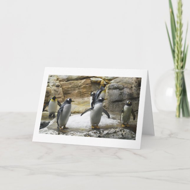 Cartes Pour Fêtes Annuelles Pingouins (Devant)