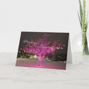 Cartes Pour Fêtes Annuelles Pink Christmas