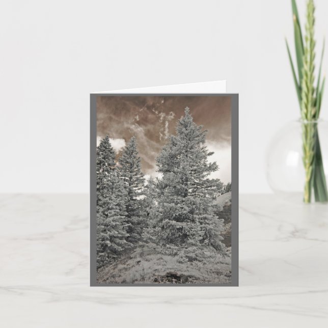 Cartes Pour Fêtes Annuelles Pins (Devant)