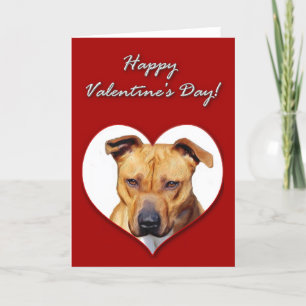 Cartes Pour Fêtes Annuelles Pitbull