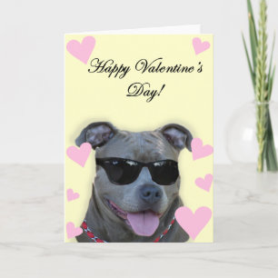 Cartes Pour Fêtes Annuelles Pitbull bleu de heureuse Sainte-Valentin avec des