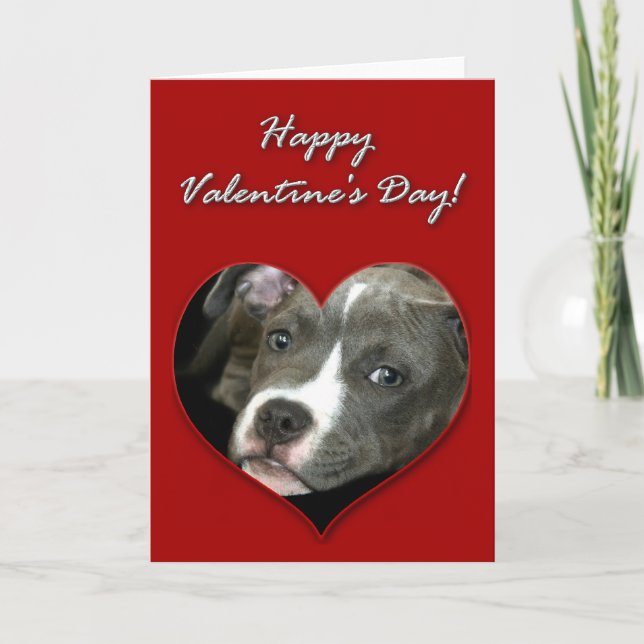 Cartes Pour Fêtes Annuelles Pitbull puppy Valentines (Devant)