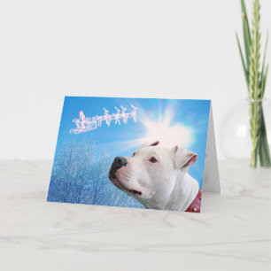 Cartes Pour Fêtes Annuelles Pitbull White Chien Noël Souhait