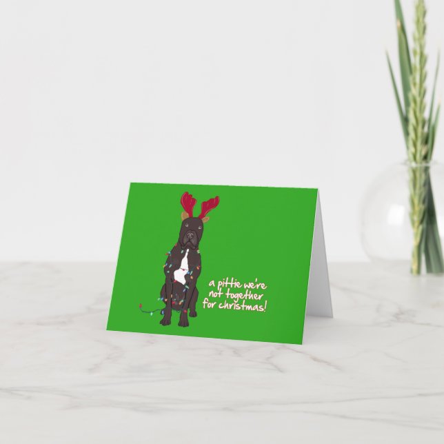 Cartes Pour Fêtes Annuelles pittiexmas 5x7 (Devant)