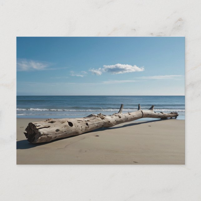 Cartes Pour Fêtes Annuelles Plage de Driftwood (Devant)