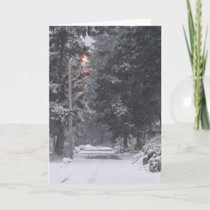 Cartes Pour Fêtes Annuelles Plage de galets Scène d'hiver 1