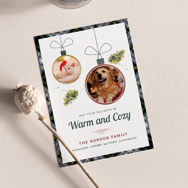 Cartes Pour Fêtes Annuelles Plaid Family Christmas Photos d'animaux de compagn (Warm and Cozy Pet Photos Plaid Gordon Tartan Christmas Greetings)