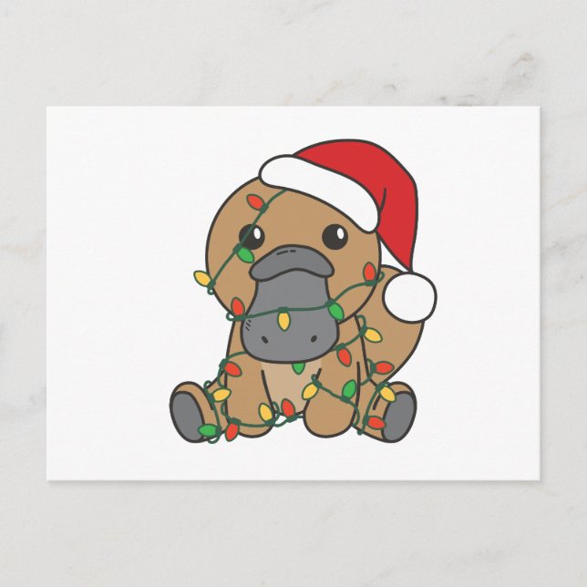 Cartes Pour Fêtes Annuelles Platypus Noël Animaux d'hiver Vacances Platypus (Devant)