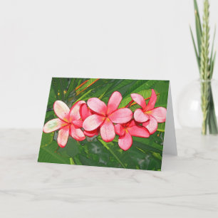 Cartes Pour Fêtes Annuelles Plumeria