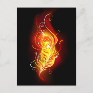Cartes Pour Fêtes Annuelles Plumes de paquetage de feu