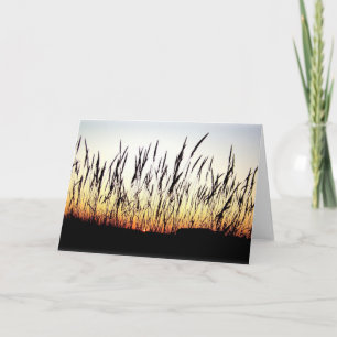 Cartes Pour Fêtes Annuelles Plumes des plaines