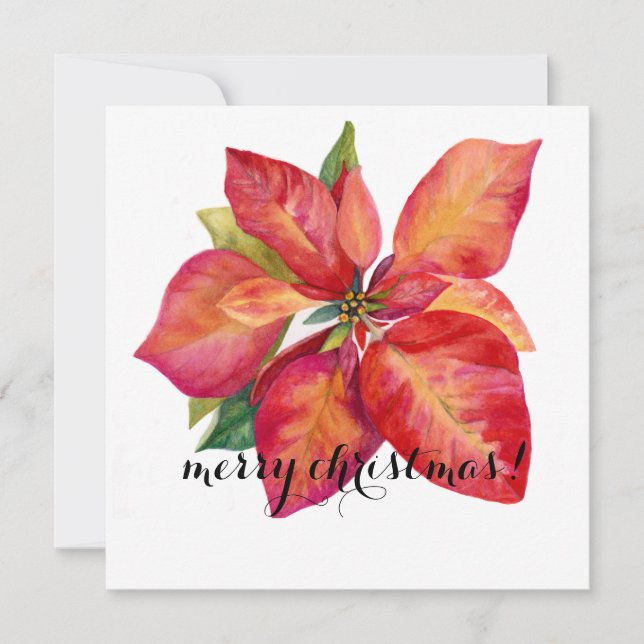Cartes Pour Fêtes Annuelles Poinsettia Christmas Card (Devant)