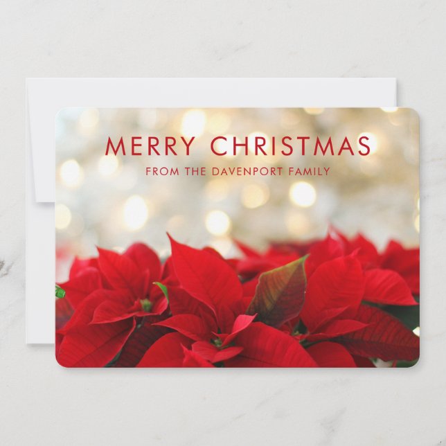 Cartes Pour Fêtes Annuelles Poinsettias rouges avec Golden Bokeh Joyeux Noël (Devant)