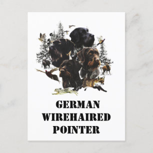 Cartes Pour Fêtes Annuelles Pointeur À poils durs allemand