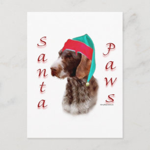 Cartes Pour Fêtes Annuelles Pointeur À poils durs allemand Père Noël Paws