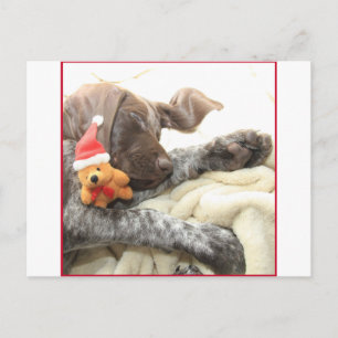 Cartes Pour Fêtes Annuelles Pointeur de Noël grizzli brillant