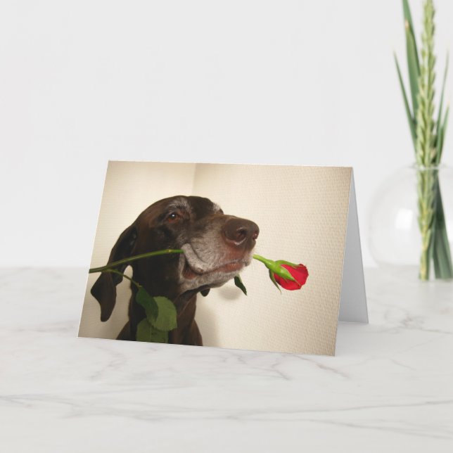 Cartes Pour Fêtes Annuelles pointeur de rose (Devant)