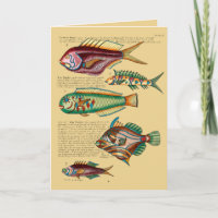 Poisson rouge et amis