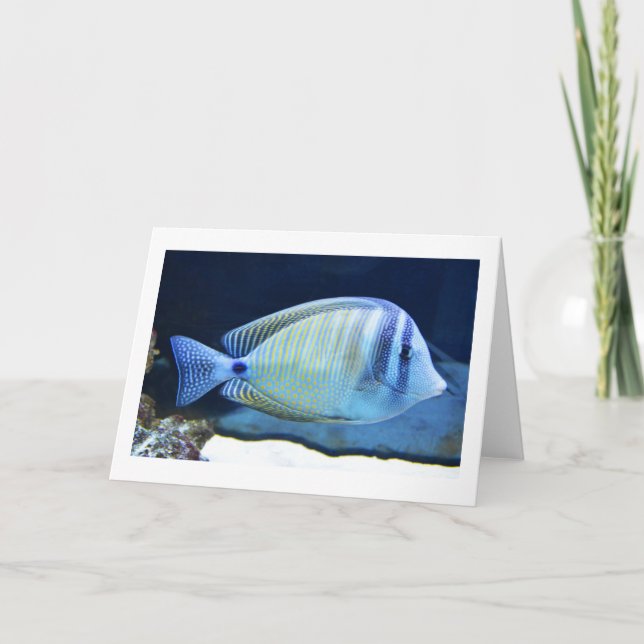 Cartes Pour Fêtes Annuelles Poisson tropical (Devant)
