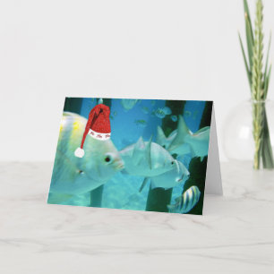 Cartes Pour Fêtes Annuelles Poissons tropicaux de HoHoHo