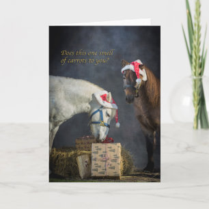 Cartes Pour Fêtes Annuelles Poneys de Shetland à Noël