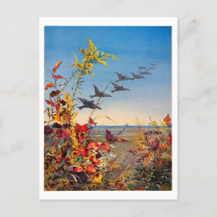 Cartes Pour Fêtes Annuelles Ponts Fidelia