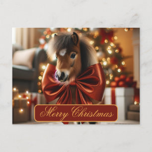 Cartes Pour Fêtes Annuelles Pony de Noël