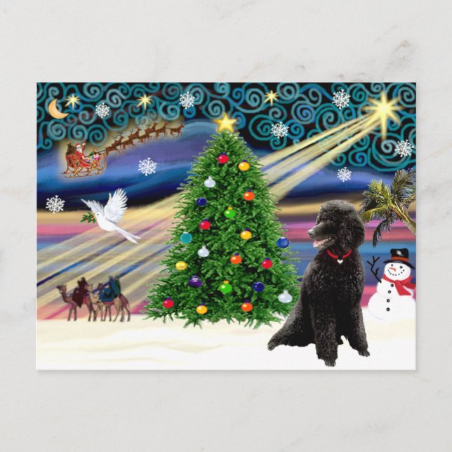 Cartes Pour Fêtes Annuelles Poodle magique de Noël (standard noir) (Devant)