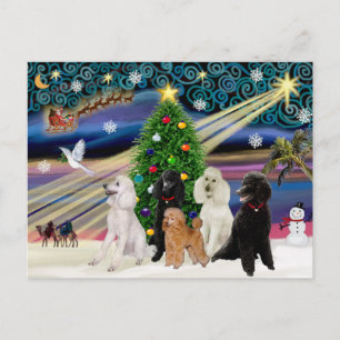 Cartes Pour Fêtes Annuelles Poodles Magie de Noël - Standard (5)