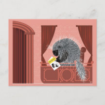 Porcupine at a Broadway Show Postcard 